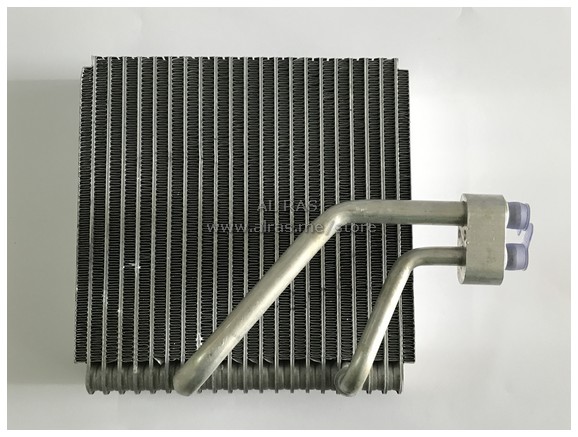 EVAP .  HY VERNA 02-05